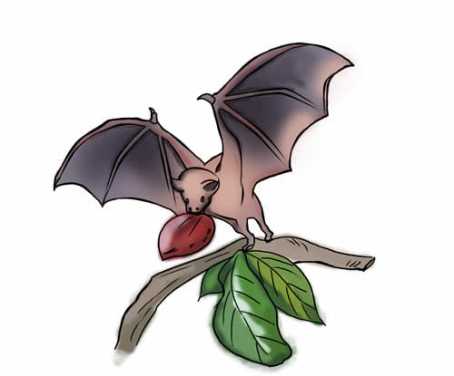 bat at work